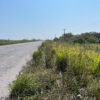 En venta terreno de 20 has. ubicado en la piedra, Alvarado Ver.