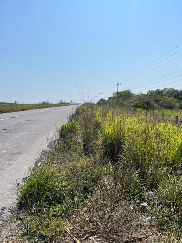 En venta terreno de 20 has. ubicado en la piedra, Alvarado Ver.