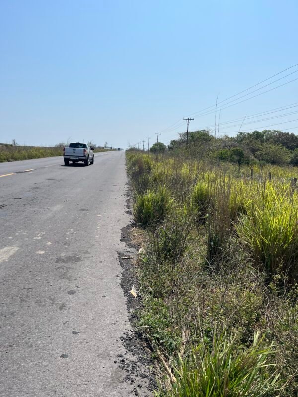 TERRENO DE 20 HAS. EN VENTA LA PIEDRA ALVARADO, VER.