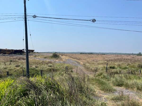 TERRENO DE 20 HAS. EN VENTA LA PIEDRA ALVARADO, VER.