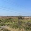 TERRENO DE 20 HAS. EN VENTA LA PIEDRA ALVARADO, VER.