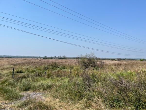 TERRENO DE 20 HAS. EN VENTA LA PIEDRA ALVARADO, VER.