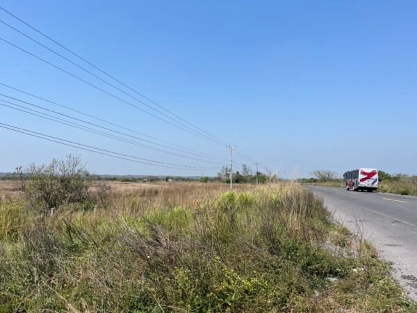 TERRENO DE 20 HAS. EN VENTA LA PIEDRA ALVARADO, VER.