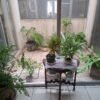 Casa en Venta de una planta en Costa de Oro, Boca del Río, Veracruz.