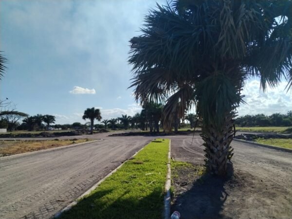 LOTES EN VENTA FRAC VIENTO SUR MEDELLIN DE BRAVO VERACRUZ