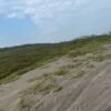 TERRENO EN VENTA UBICADO MUNICIPIO DE URSULO GALVAN VERACRUZ