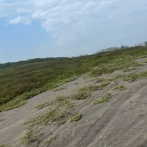 TERRENO EN VENTA UBICADO MUNICIPIO DE URSULO GALVAN VERACRUZ