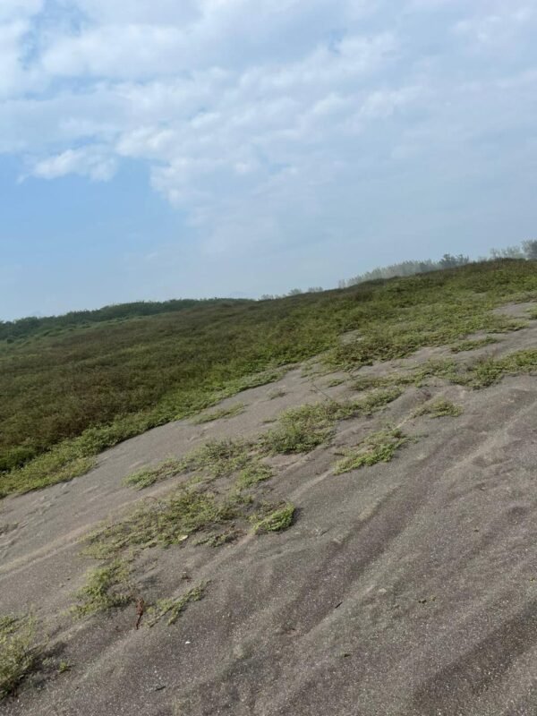 TERRENO EN VENTA UBICADO MUNICIPIO DE URSULO GALVAN VERACRUZ