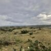 TERRENO EN VENTA UBICADO MUNICIPIO DE URSULO GALVAN VERACRUZ