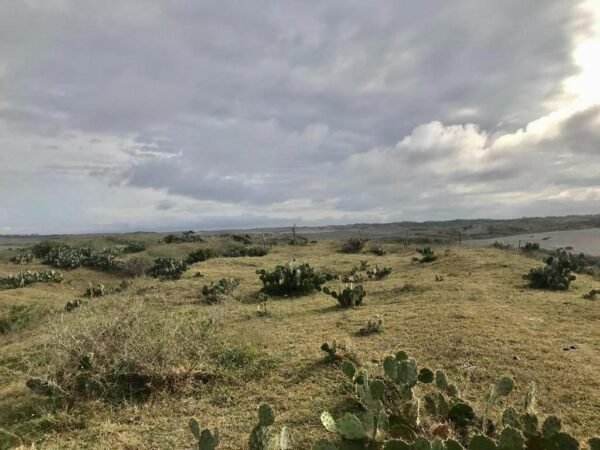 TERRENO EN VENTA UBICADO MUNICIPIO DE URSULO GALVAN VERACRUZ