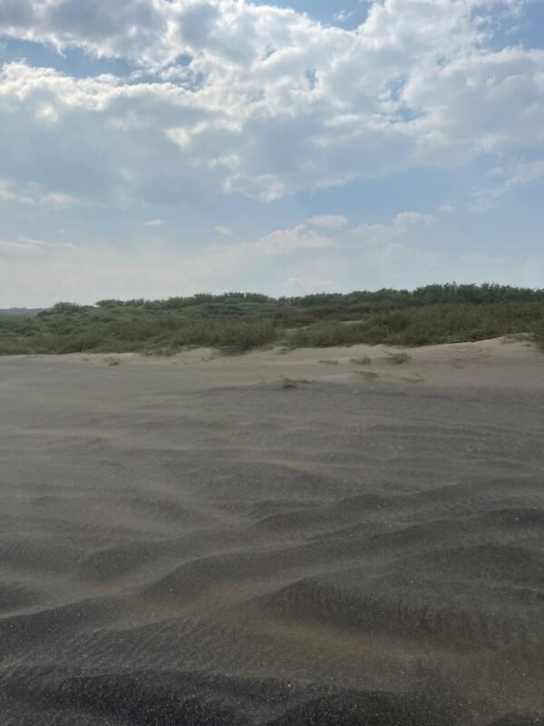 TERRENO EN VENTA UBICADO MUNICIPIO DE URSULO GALVAN VERACRUZ