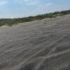 TERRENO EN VENTA UBICADO MUNICIPIO DE URSULO GALVAN VERACRUZ