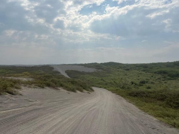 TERRENO EN VENTA UBICADO MUNICIPIO DE URSULO GALVAN VERACRUZ