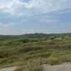 TERRENO EN VENTA UBICADO MUNICIPIO DE URSULO GALVAN VERACRUZ