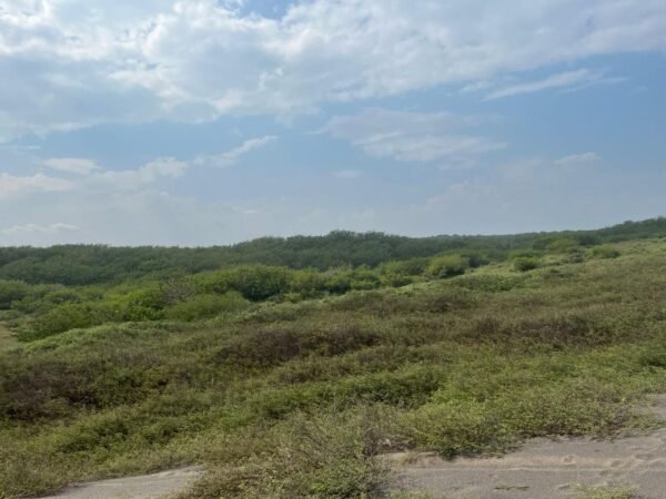 TERRENO EN VENTA UBICADO MUNICIPIO DE URSULO GALVAN VERACRUZ