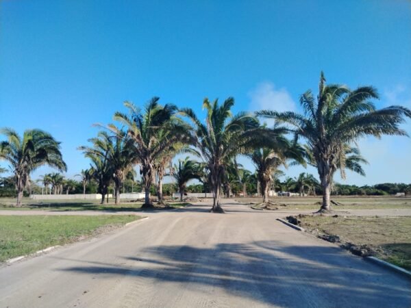 LOTES EN VENTA FRAC VIENTO SUR MEDELLIN DE BRAVO VERACRUZ
